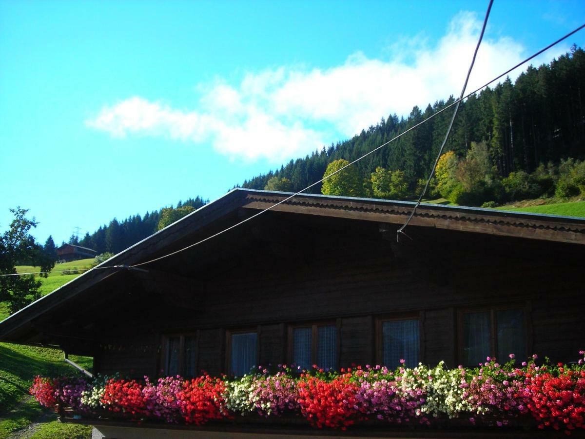Ferienwohnung Muhlbauer Wald im Pinzgau Εξωτερικό φωτογραφία