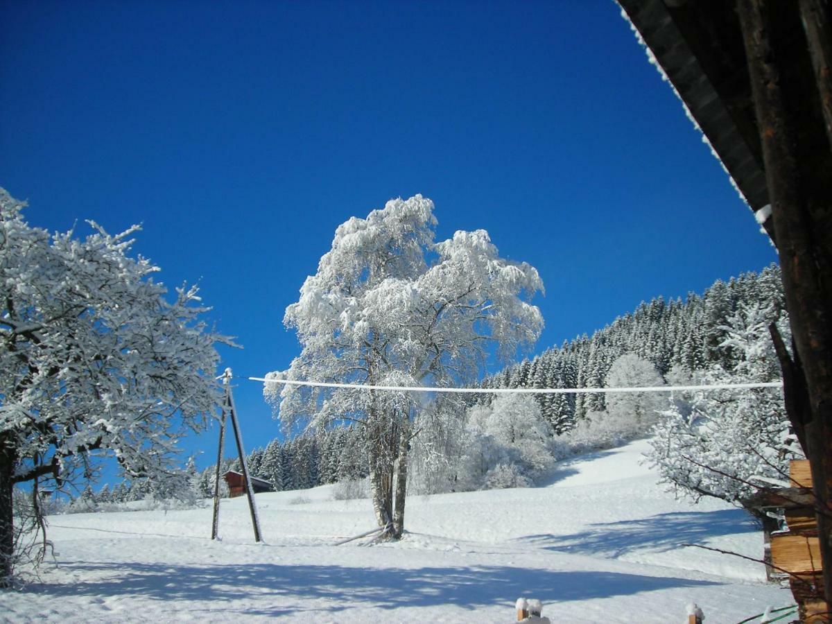 Ferienwohnung Muhlbauer Wald im Pinzgau Εξωτερικό φωτογραφία